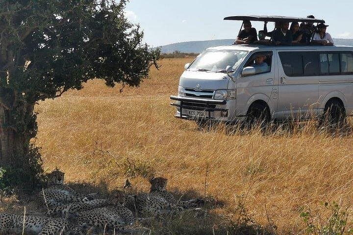 3-Day Budget Private Safari to Maasai Mara from Nairobi