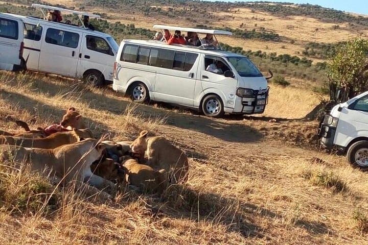 3-Day Budget Private Safari to Maasai Mara from Nairobi photo 2