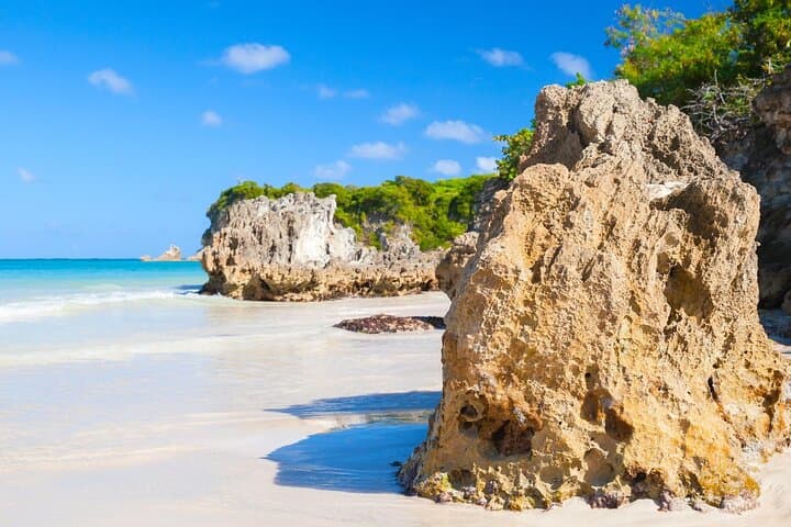 Rev Up Adventure with the Punta Cana Buggy Tour photo 4