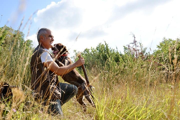 Truffle Hunting in Umbria: Morning Hunt and Truffle Breakfast near Perugia photo 1