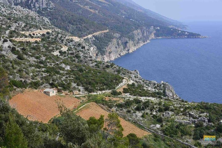 Hvar Half-Day Wine Tour: Two Wineries & Local Delicacies photo 6