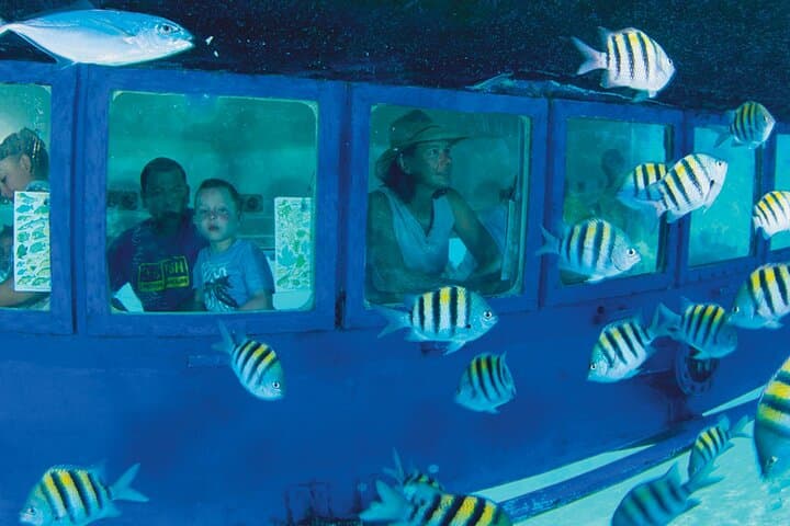 Explore Cancun: Hop-on Hop-off City Tour with Subsee Explorer or Flowrider photo 2