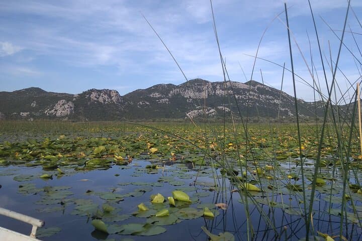 Skadar Lake boat ride through the "Montenegrin Amazon" with wine tasting photo 4