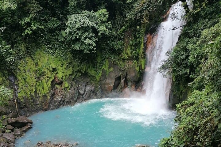 Blue River and Sloths: Río Celeste, Tenorio Hike & Llanos de Cortez Waterfall