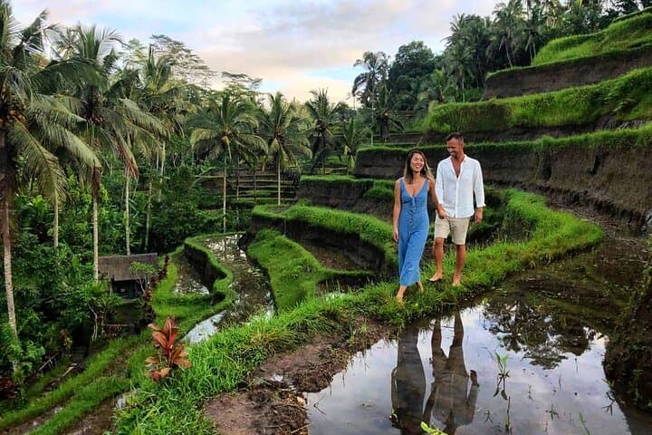 Ubud in a Day: Private Tour to Temples, Waterfall & Rice Terraces