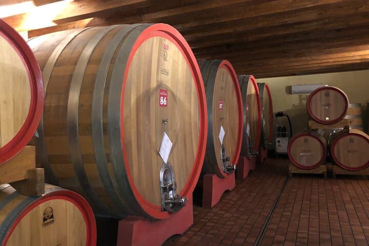 Etna Wine Tour: Silvestri Craters, Lava Cave & Winery Tasting