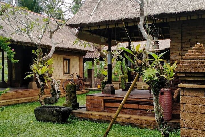 Kintamani Volcano & Tegalalang Rice Terraces Day Tour from Ubud photo 2