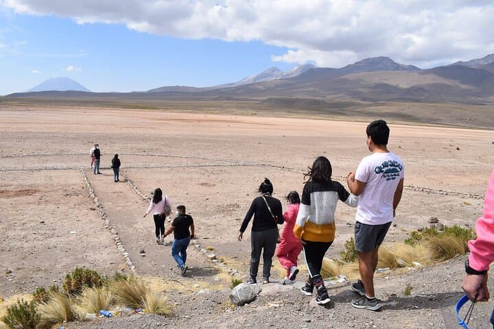 Colca Full Day: Cruz del Cóndor Condor-Watching & Colca Canyon Day Trip from Arequipa photo 4