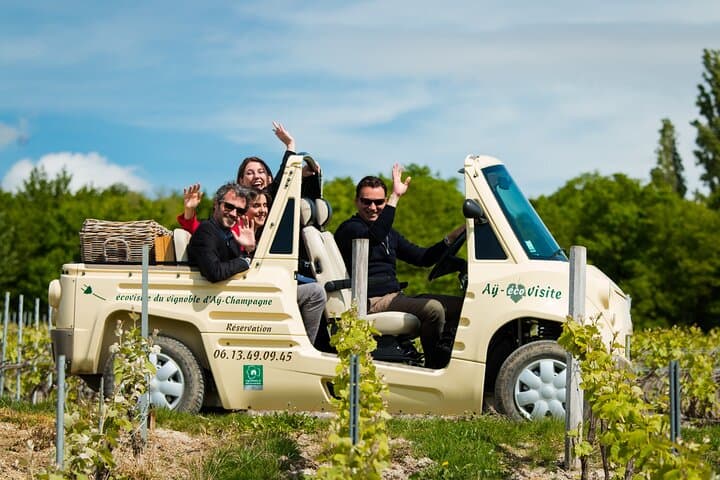 Guided Aÿ Vineyard Tour and Champagne Tasting — 2‑Hour Winegrower Experience