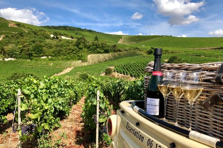 Guided Aÿ Vineyard Tour and Champagne Tasting — 2‑Hour Winegrower Experience photo 3