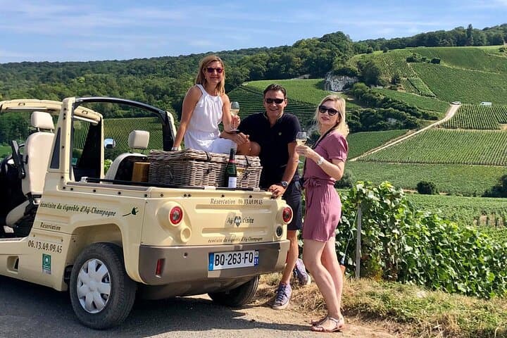 Guided Aÿ Vineyard Tour and Champagne Tasting — 2‑Hour Winegrower Experience photo 4