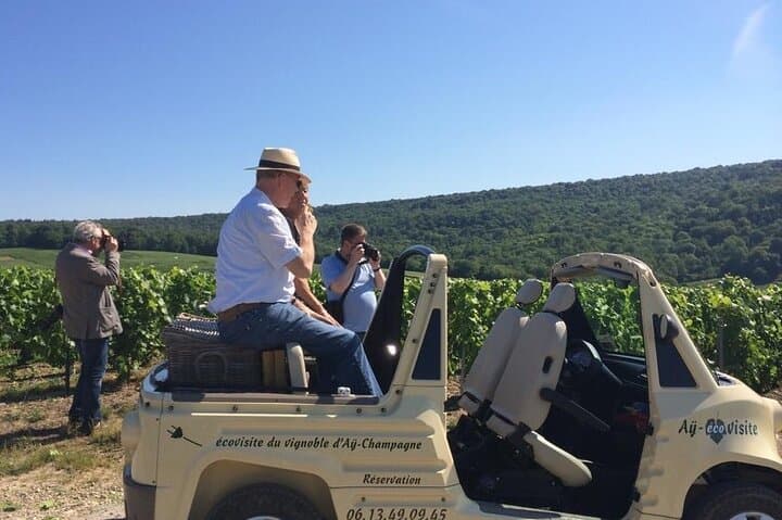 Guided Aÿ Vineyard Tour and Champagne Tasting — 2‑Hour Winegrower Experience photo 5