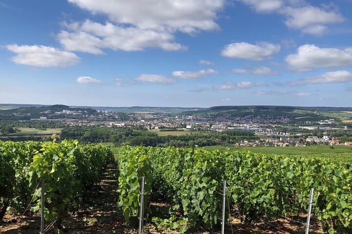 Guided Aÿ Vineyard Tour and Champagne Tasting — 2‑Hour Winegrower Experience photo 6