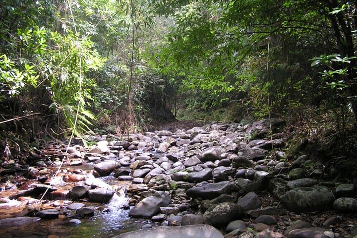 Bach Ma National Park Full-Day Trek and Lang Co Beach Retreat photo 6