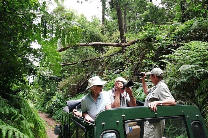Porto Moniz Private Full-Day 4x4 Safari Tour — Northwest Madeira photo 1