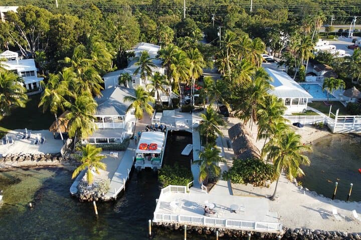 Explore Florida’s Only Living Coral Reef on a Half-Day 2-Tank Scuba Dive in Key Largo photo 5