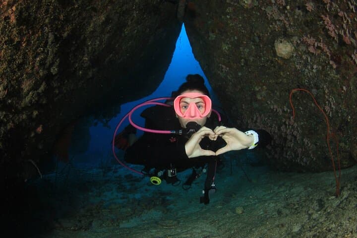 Explore Florida’s Only Living Coral Reef on a Half-Day 2-Tank Scuba Dive in Key Largo