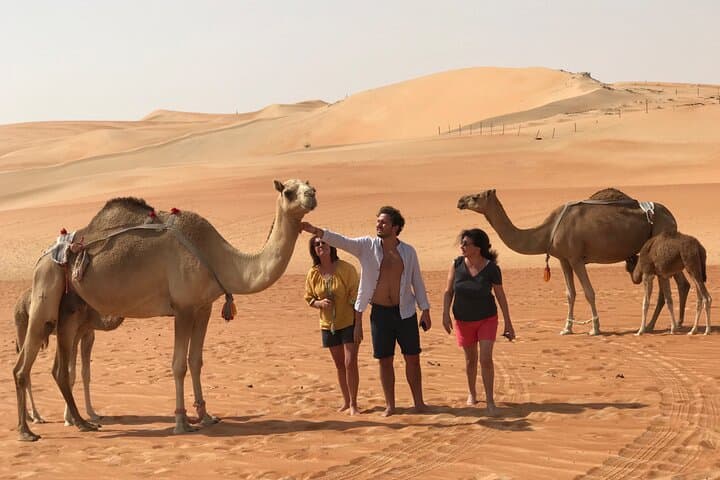 Liwa Full-Day Desert Safari: Dune Driving, Sandboarding & Oasis Visits photo 5