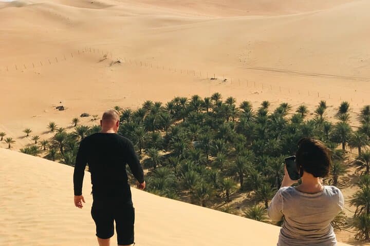 Liwa Full-Day Desert Safari: Dune Driving, Sandboarding & Oasis Visits photo 6