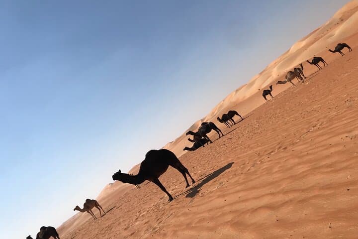 Empty Quarter Sunset Safari: Moreeb Dunes & Liwa Oasis Day Trip photo 5