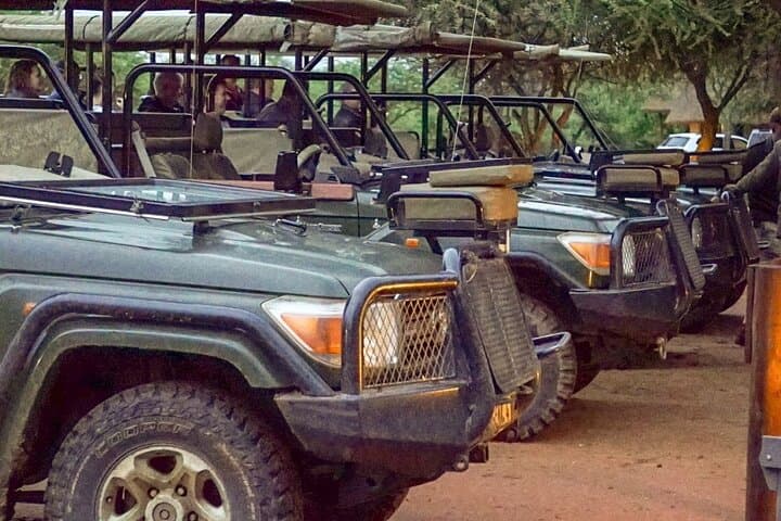 Dinokeng Game Reserve Safari: Big Five Day Game Drive from Johannesburg