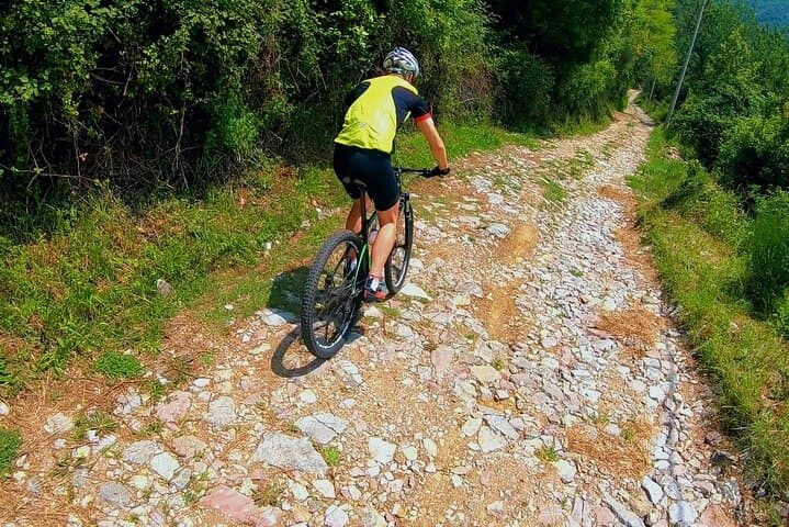 Vrmac Peninsula Mountain Biking — Panoramic Kotor Bay Downhill photo 3