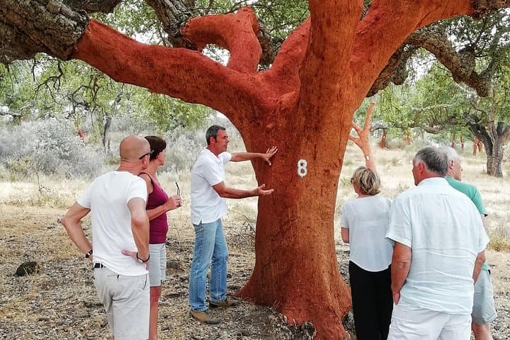 Jeep Tour of Alentejo Cork Forests — 2-Hour Cork Farm Experience from Évora photo 4