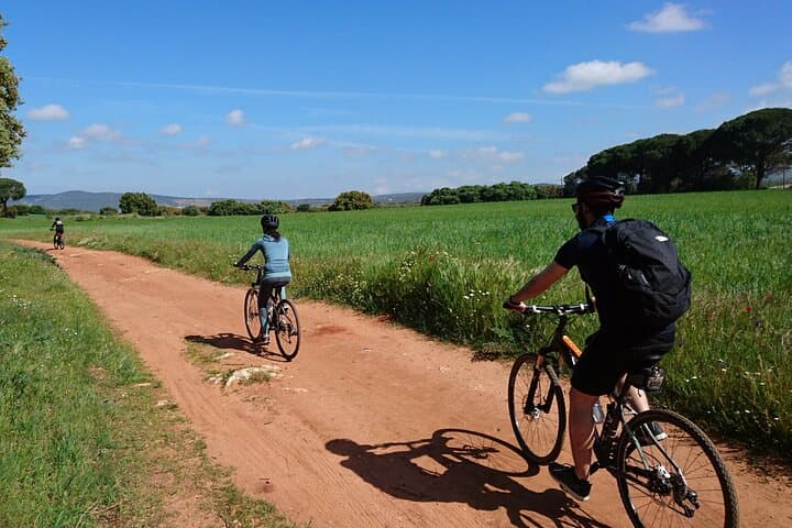 Ronda e-Bike Winery Tour: Easy 20km Ride Through Olive Groves & Bodega Tasting photo 3