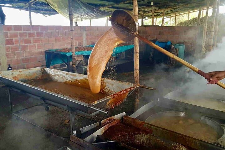 Salento to Viterbo Coffee, Cacao & Panela Full-Day Tour — Coffee Zone Discovery photo 6