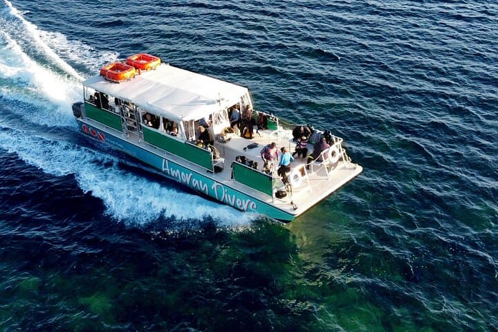 Learn to Scuba Dive in Key Largo: PADI Full-Day Reef Adventure photo 5