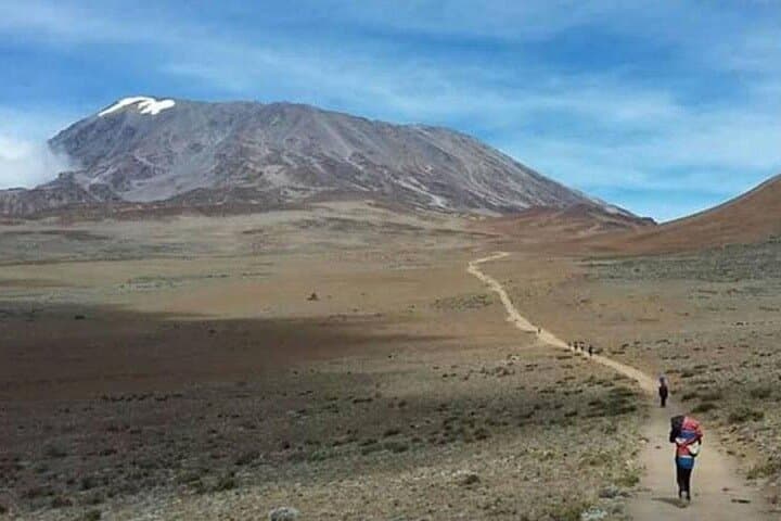 Lemosho Route Mt Kilimanjaro: 8-Day Guided Ascent to Uhuru Peak photo 5