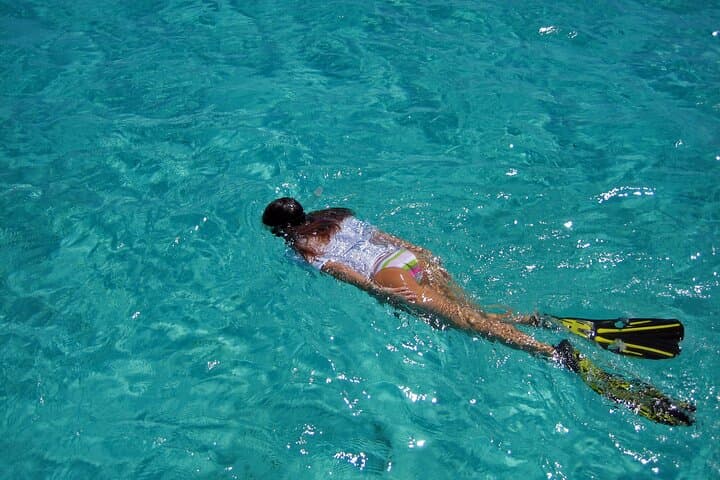 Key Largo Half-Day Catamaran Snorkel Adventure to Pennekamp Reef photo 4