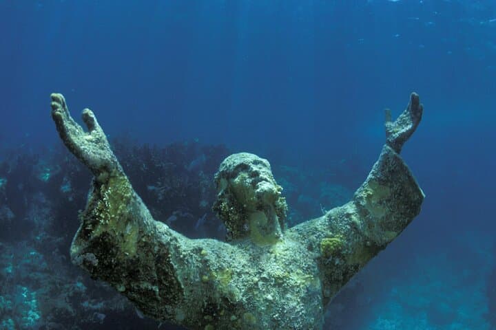 Key Largo Half-Day Catamaran Snorkel Adventure to Pennekamp Reef photo 6
