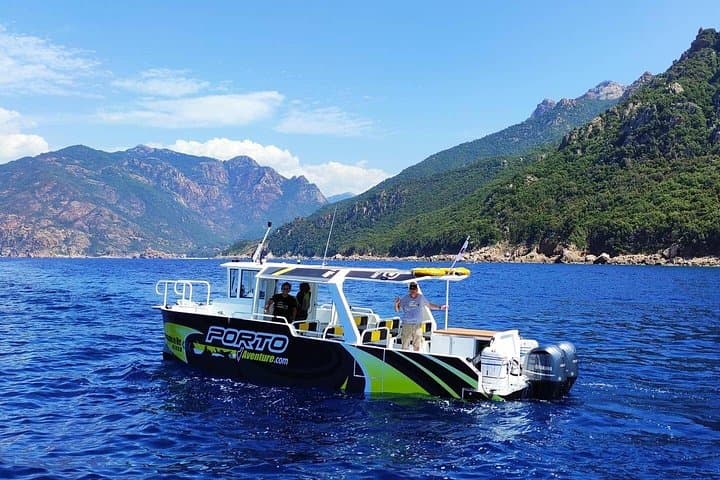 Calanches de Piana & Scandola Reserve Speedboat Cruise from Porto photo 1