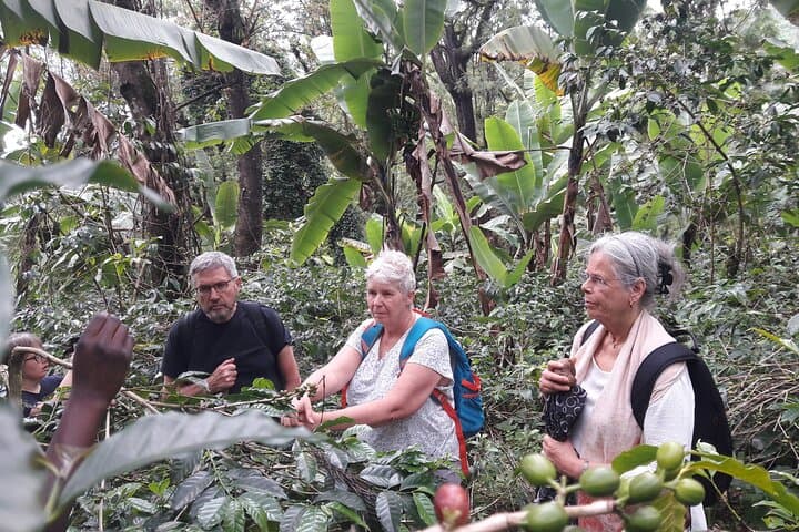 Materuni Waterfalls & Coffee Tour: Kilimanjaro Day Trip from Moshi photo 4