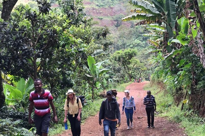 Materuni Waterfalls & Coffee Tour: Kilimanjaro Day Trip from Moshi photo 5