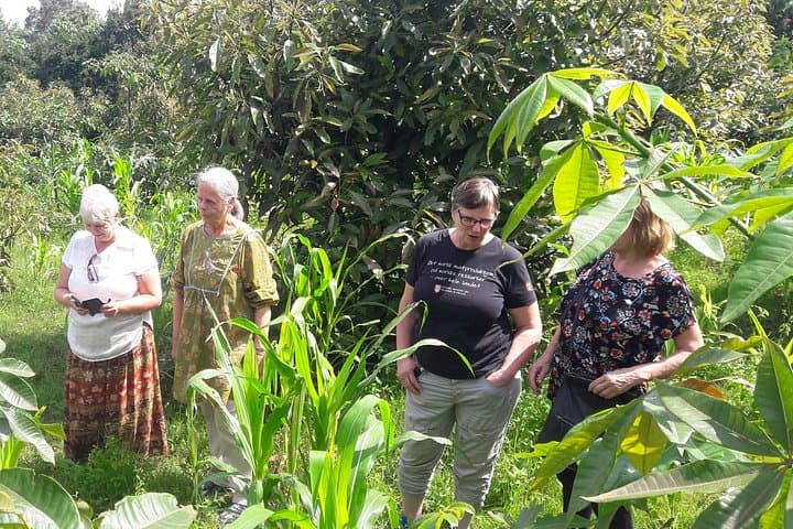 Marangu Waterfalls & Chagga Culture: Full-Day Coffee, Caves & Falls Tour photo 4