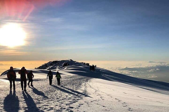 Seven Days on Kilimanjaro’s Machame Route: A Practical Guide to Reaching Uhuru Peak photo 5