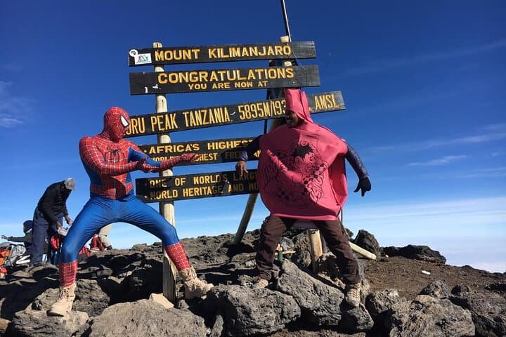 Seven Days on Kilimanjaro’s Machame Route: A Practical Guide to Reaching Uhuru Peak