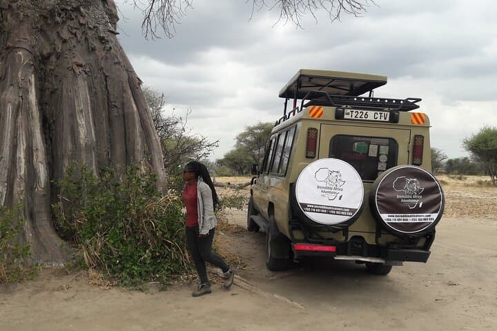 5-Day Tanzania Safari: Serengeti, Ngorongoro & Lake Manyara Big 5 Migration