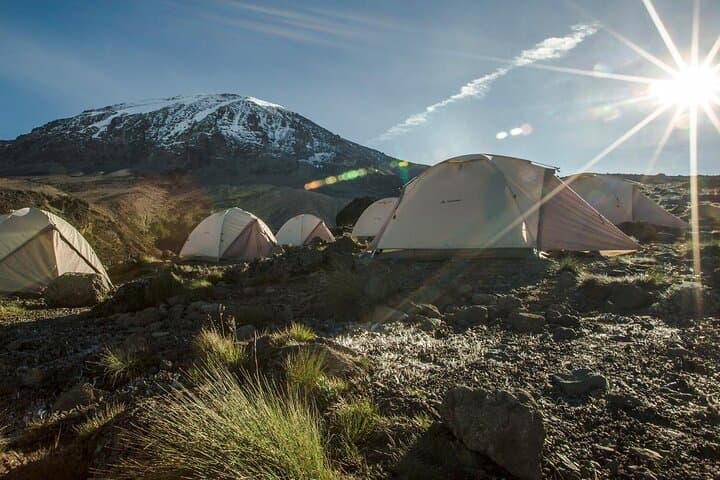 Seven Days on Kilimanjaro’s Machame Route: A Practical Guide to Reaching Uhuru Peak photo 6