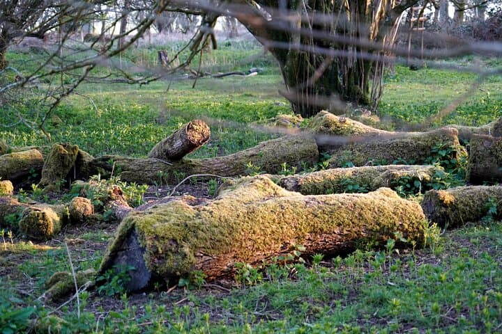 Ancient Britain: Avebury, Silbury Hill and Donnington Castle 3-Day Tour photo 6