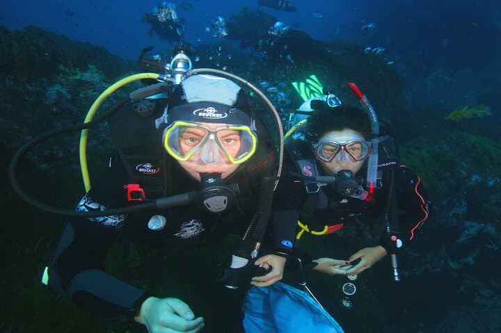 Try Scuba Dive in Auckland: Half-Day SSI Introductory Dive in the Hauraki Gulf photo 3
