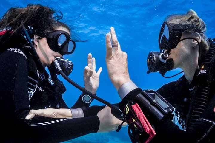 Auckland Rescue Diver Course — Two-Day Rescue Diver Training photo 3