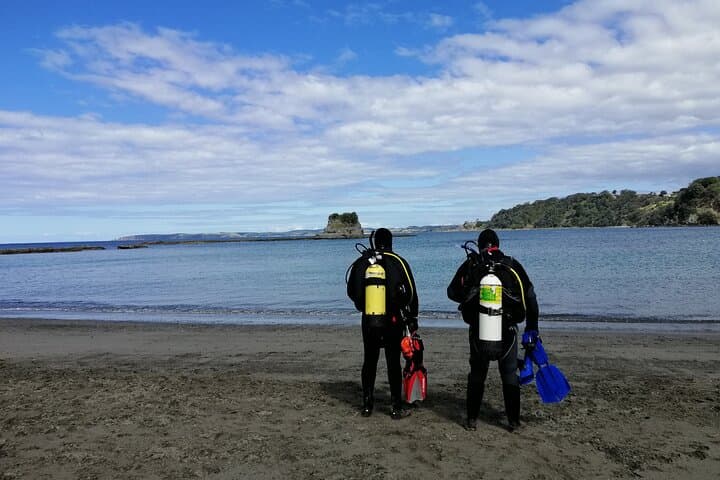 Auckland Rescue Diver Course — Two-Day Rescue Diver Training photo 4