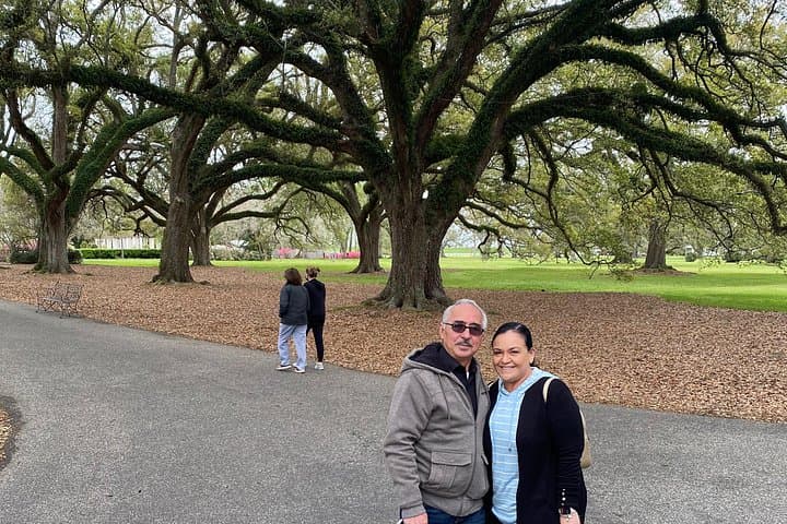 Half-Day Oak Alley Plantation Tour: Live Oaks, River Views & Creole History photo 3