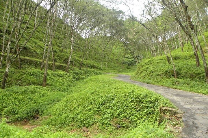 Exploring Belilena Cave: Day Tour from Colombo to Kitulgala photo 3