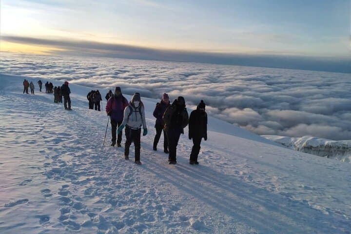 Lemosho Route Mt Kilimanjaro: 8-Day Guided Ascent to Uhuru Peak photo 6