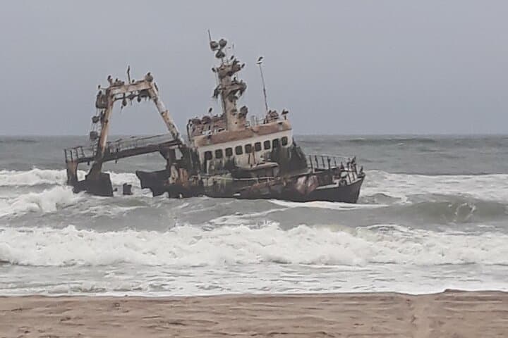Skeleton Coast Cape Cross Seal Colony: Half-Day Seal, Shipwrecks & Desert Fog photo 3