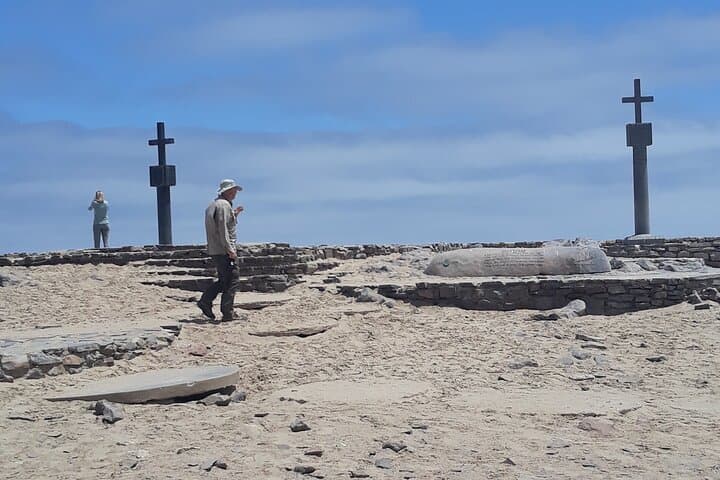 Skeleton Coast Cape Cross Seal Colony: Half-Day Seal, Shipwrecks & Desert Fog photo 1